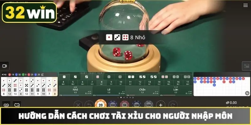 Hướng dẫn cách chơi Tài Xỉu cho người nhập môn